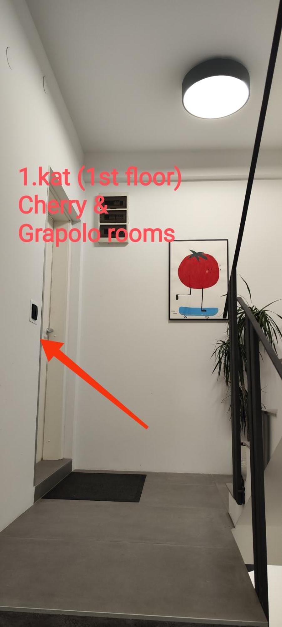 Pomodoro Rooms Загреб Екстериор снимка